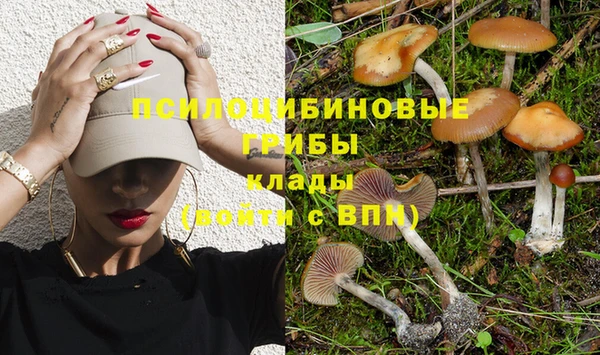 спайс Армянск