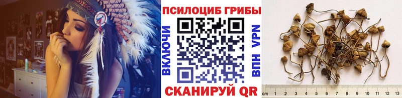 кракен вход Прохладный Галлюциногенные грибы ЛСД сколько стоит